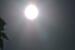 Click image for larger version. 

Name:	DSC_0439smal.JPG 
Views:	169 
Size:	98.8 KB 
ID:	116931