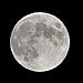 Click image for larger version. 

Name:	moon.JPG 
Views:	324 
Size:	130.8 KB 
ID:	118121