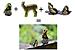 Click image for larger version. 

Name:	deersquirrelbutterfly.JPG 
Views:	337 
Size:	155.3 KB 
ID:	124342