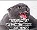 Click image for larger version. 

Name:	arguecat_2.jpg 
Views:	748 
Size:	63.8 KB 
ID:	90211