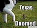Click image for larger version. 

Name:	doomed_texas.jpg 
Views:	204 
Size:	36.0 KB 
ID:	119833